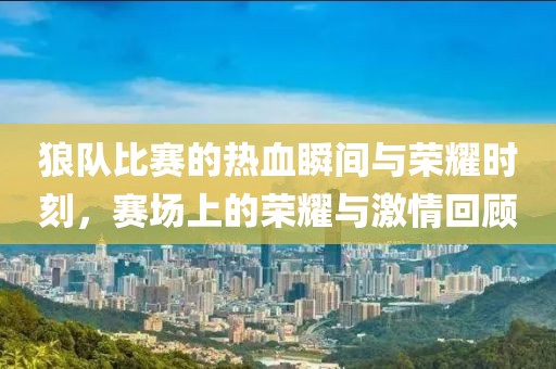 狼队比赛的热血瞬间与荣耀时刻，赛场上的荣耀与激情回顾
