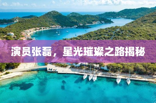 演员张磊，星光璀璨之路揭秘