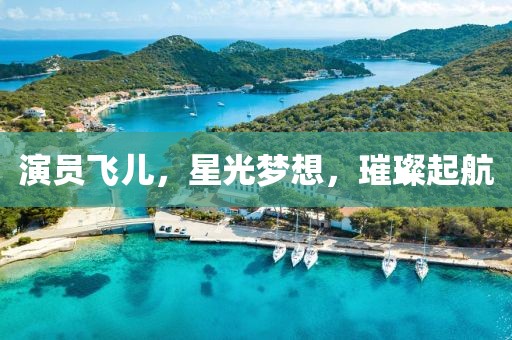 演员飞儿，星光梦想，璀璨起航