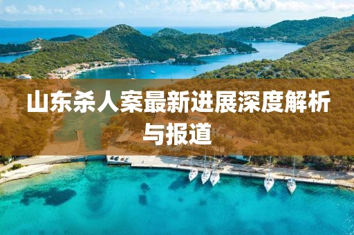 山东杀人案最新进展深度解析与报道