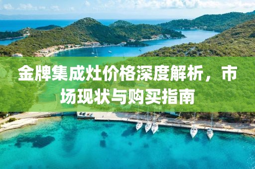 金牌集成灶价格深度解析，市场现状与购买指南