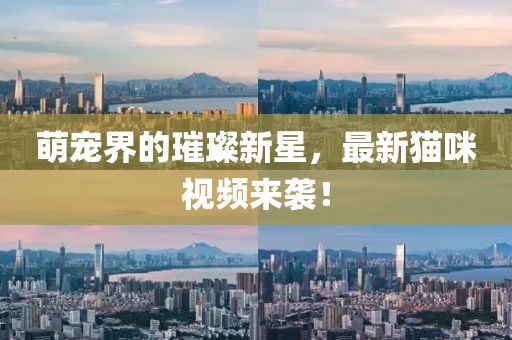 萌宠界的璀璨新星，最新猫咪视频来袭！