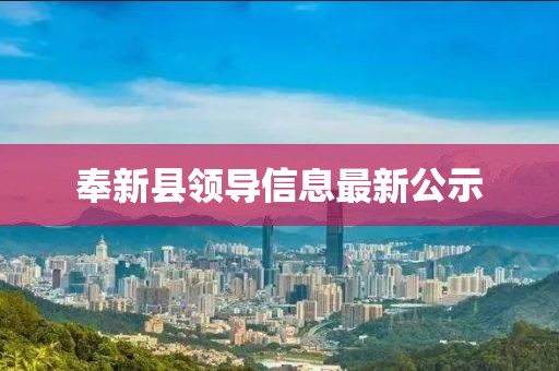 奉新县领导信息最新公示
