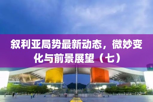叙利亚局势最新动态，微妙变化与前景展望（七）