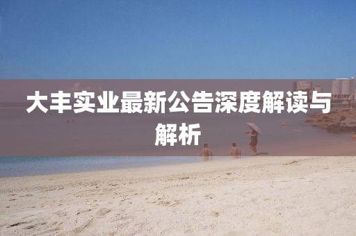 大丰实业最新公告深度解读与解析