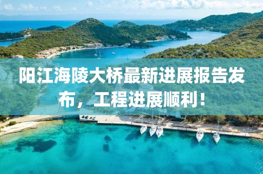 阳江海陵大桥最新进展报告发布，工程进展顺利！