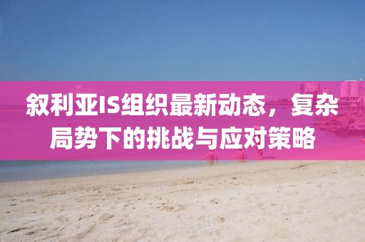 叙利亚IS组织最新动态，复杂局势下的挑战与应对策略