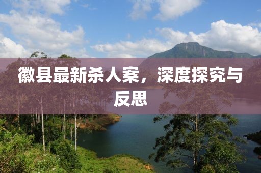 徽县最新杀人案，深度探究与反思