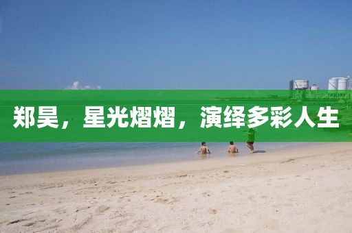 郑昊，星光熠熠，演绎多彩人生