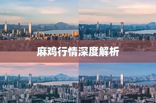 麻鸡行情深度解析
