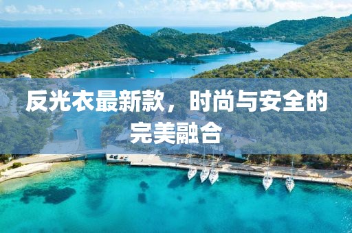枫以 第31页