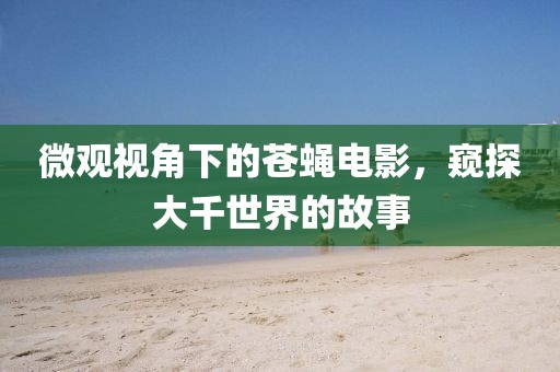 微观视角下的苍蝇电影，窥探大千世界的故事