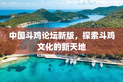 中国斗鸡论坛新版，探索斗鸡文化的新天地