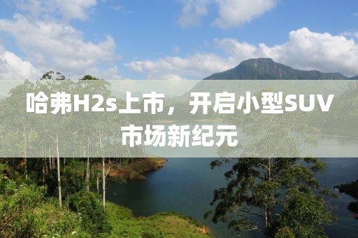 哈弗H2s上市，开启小型SUV市场新纪元