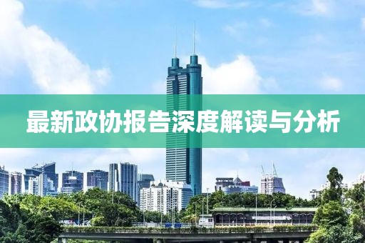 最新政协报告深度解读与分析