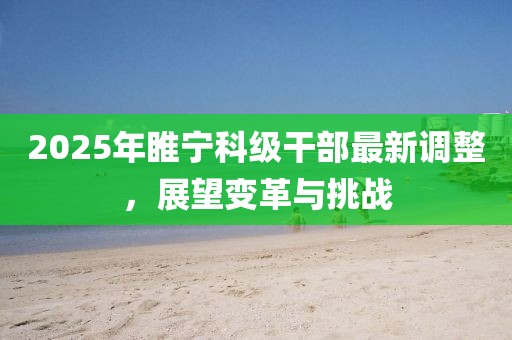 2025年睢宁科级干部最新调整，展望变革与挑战