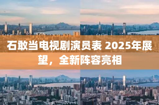 石敢当电视剧演员表 2025年展望，全新阵容亮相