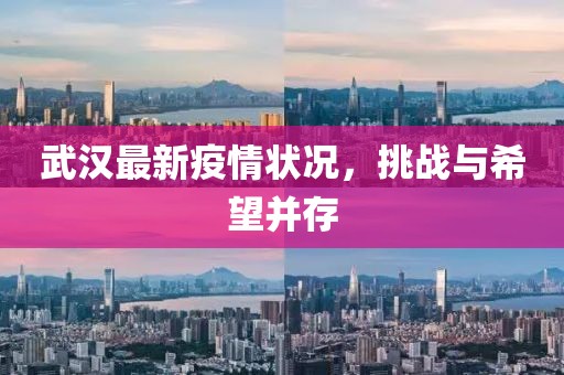 武汉最新疫情状况，挑战与希望并存