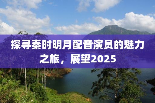 探寻秦时明月配音演员的魅力之旅，展望2025