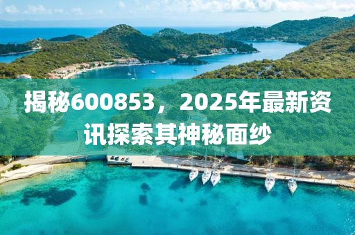 揭秘600853，2025年最新资讯探索其神秘面纱