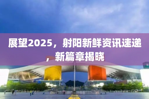 展望2025，射阳新鲜资讯速递，新篇章揭晓