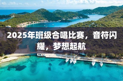 2025年班级合唱比赛，音符闪耀，梦想起航
