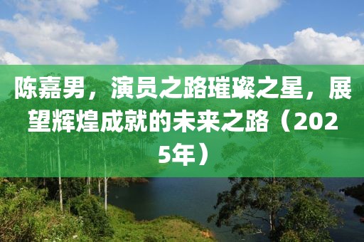 陈嘉男，演员之路璀璨之星，展望辉煌成就的未来之路（2025年）