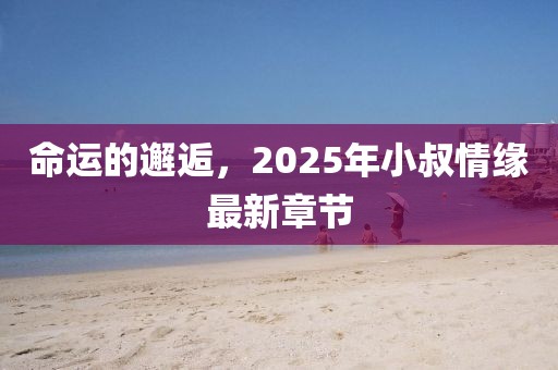 命运的邂逅，2025年小叔情缘最新章节