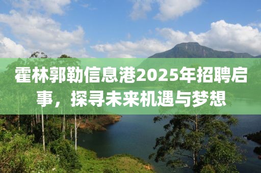 霍林郭勒信息港2025年招聘启事，探寻未来机遇与梦想
