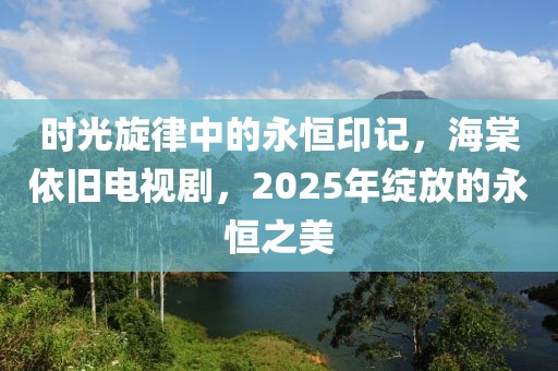 时光旋律中的永恒印记，海棠依旧电视剧，2025年绽放的永恒之美
