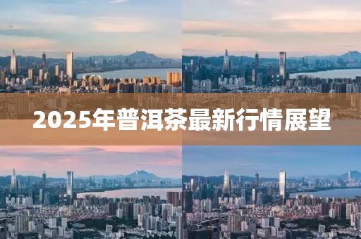 2025年普洱茶最新行情展望