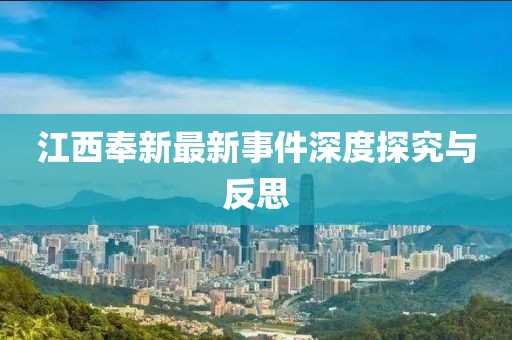 江西奉新最新事件深度探究与反思
