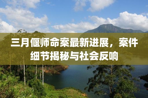 三月偃师命案最新进展，案件细节揭秘与社会反响