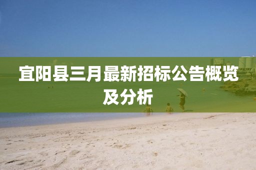 宜阳县三月最新招标公告概览及分析