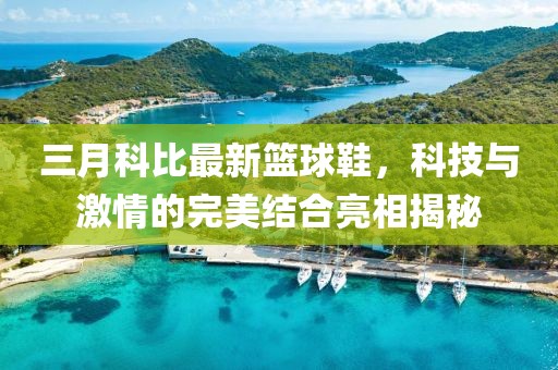 三月科比最新篮球鞋，科技与激情的完美结合亮相揭秘