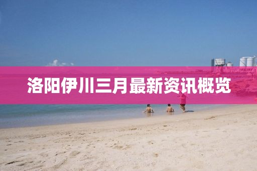 2025年4月1日 第4页