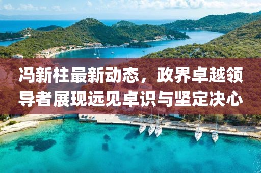 冯新柱最新动态，政界卓越领导者展现远见卓识与坚定决心