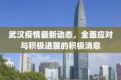 武汉疫情最新动态，全面应对与积极进展的积极消息