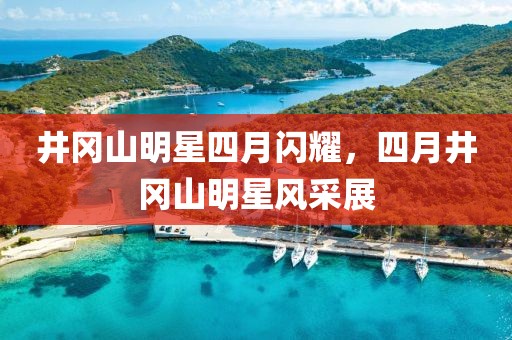 井冈山明星四月闪耀，四月井冈山明星风采展