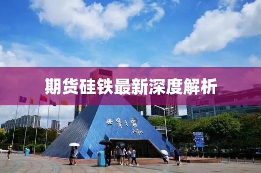 期货硅铁最新深度解析