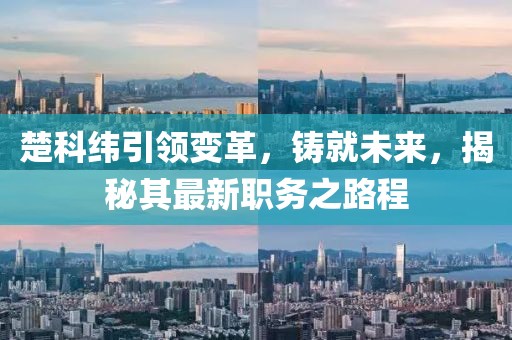 楚科纬引领变革，铸就未来，揭秘其最新职务之路程