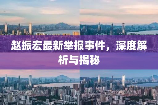 赵振宏最新举报事件，深度解析与揭秘
