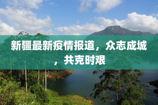 新疆最新疫情报道，众志成城，共克时艰
