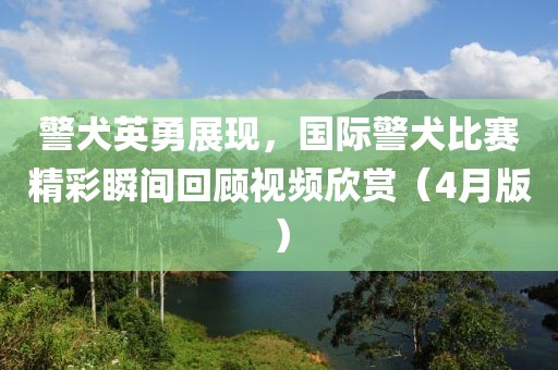警犬英勇展现，国际警犬比赛精彩瞬间回顾视频欣赏（4月版）