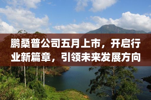 鹏桑普公司五月上市，开启行业新篇章，引领未来发展方向