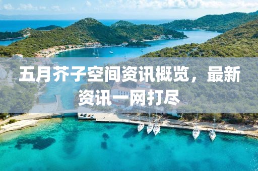 五月芥子空间资讯概览，最新资讯一网打尽