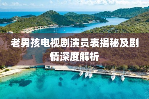 老男孩电视剧演员表揭秘及剧情深度解析