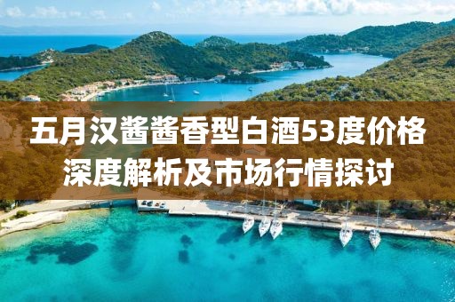 五月汉酱酱香型白酒53度价格深度解析及市场行情探讨