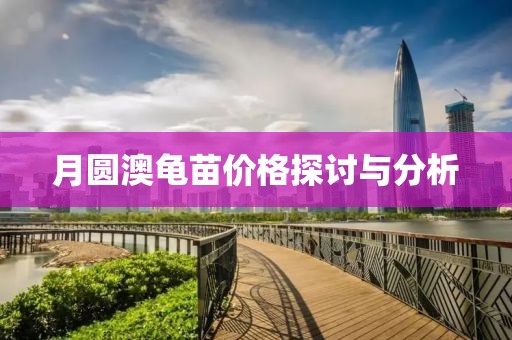 月圆澳龟苗价格探讨与分析