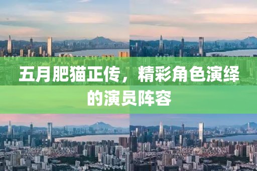 五月肥猫正传，精彩角色演绎的演员阵容